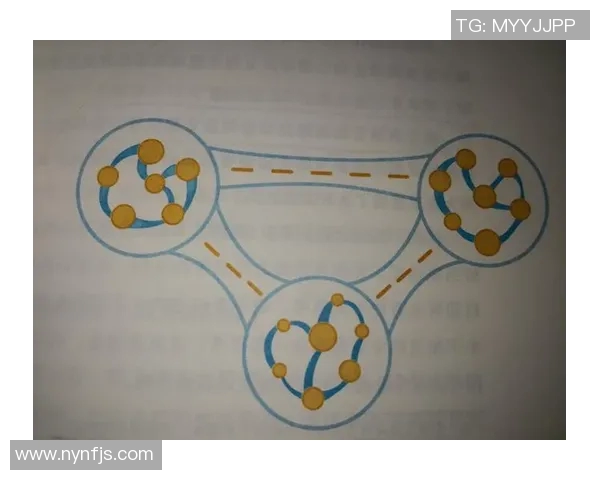 专访李伟揭秘排球成功背后的训练与团队协作秘诀 专访李伟揭秘排球成功背后的训练与团队协作秘诀