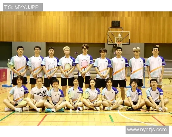 北京羽毛球队边路渗透革新探索与实践的深度分析与展望 北京羽毛球队边路渗透革新探索与实践的深度分析与展望