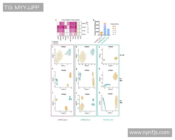 北京排球队团队协作表现的数据分析与提升策略探讨 北京排球队团队协作表现的数据分析与提升策略探讨