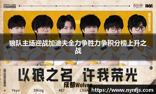 狼队主场迎战加迪夫全力争胜力争积分榜上升之战