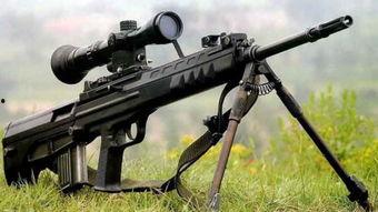 国产重型狙击枪打靶视频,展现我国军工实力