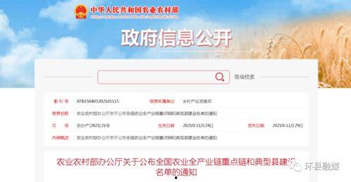 全国产业链建设视频,共筑高质量发展新格局