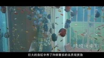 国产怀旧电影视频网,重温岁月流转中的光影记忆