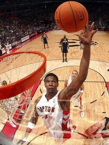 国产篮球拆解图片视频大全,结构与性能深度解析