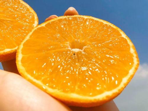 橙子视频国产欧美,国产与欧美影视盛宴的完美融合